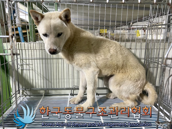 한국동물구조관리협회_441409202300915
